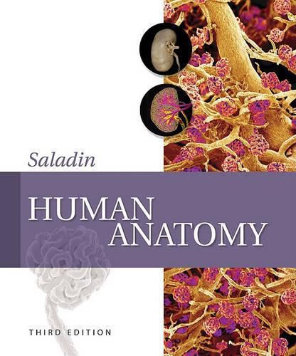 Cover image for Human Anatomy