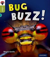 Cover image for Oxford Reading Tree inFact: Level 7: Bug Buzz!