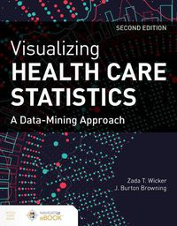 Cover image for Visualizing Health Care Statistics:  A Data-Mining Approach