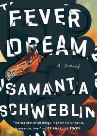 Cover image for Fever Dream: A Novel