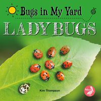 Cover image for Ladybugs