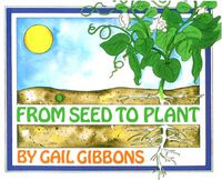 Cover image for From Seed to Plant