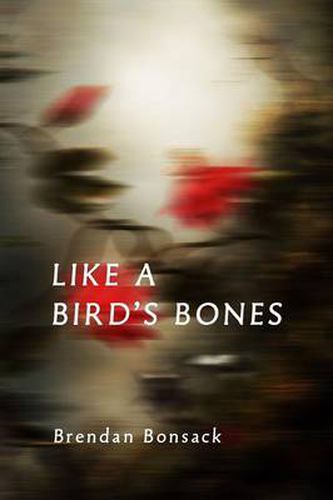 Cover image for Like a Bird's Bones