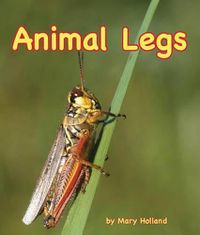 Cover image for Animal Legs