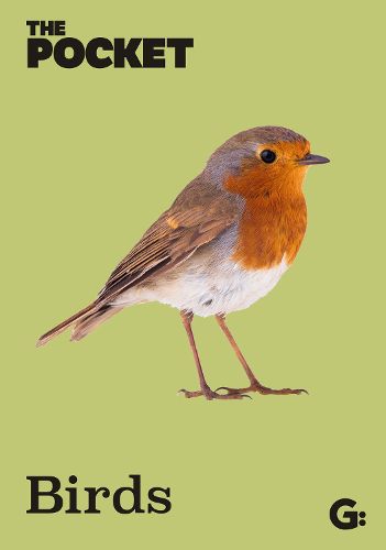 Cover image for The Pocket Birds