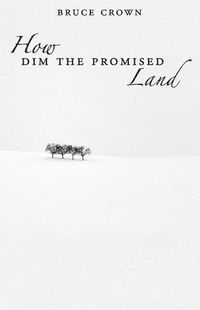 Cover image for How Dim the Promised Land