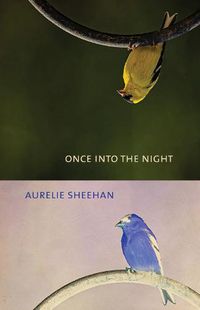Cover image for Once into the Night