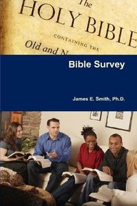 Cover image for Bible Survey