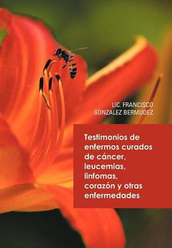 Cover image for Testimonios de Enfermos Curados de Cancer Leucemias Linfomas Corazon y Otras Enfermedades