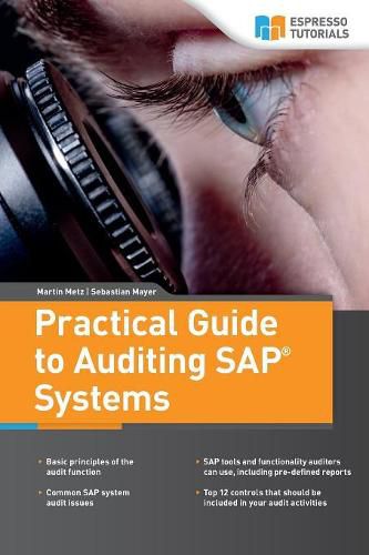 Cover image for Practical Guide to Auditing SAP Systems