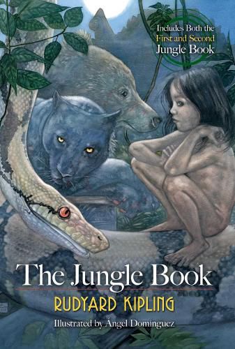 Cover image for The Jungle Book