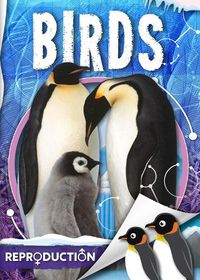 Cover image for Birds