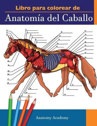 Cover image for Libro para colorear de Anatomia del Caballo: Libro de Colores de Autoevaluacion muy Detallado de la Anatomia Equina El Regalo Perfecto Para Estudiantes de Veterinaria, Amantes de los Caballos y Adultos