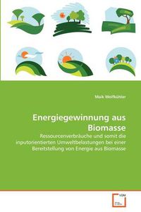 Cover image for Energiegewinnung Aus Biomasse