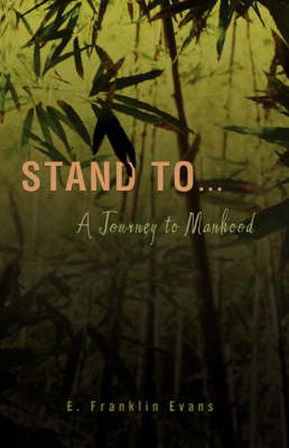 Cover image for Stand to ...