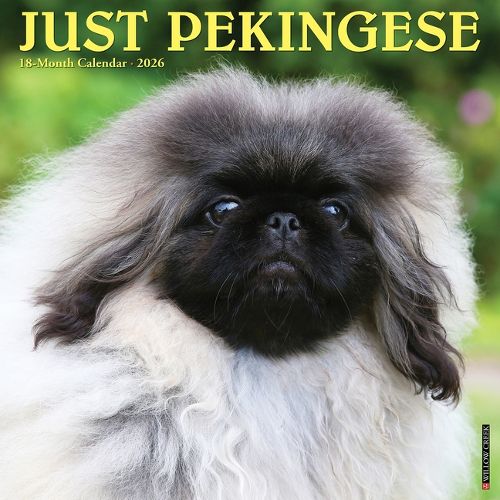 Cover image for Pekingese 2026 12 X 12 Wall Calendar