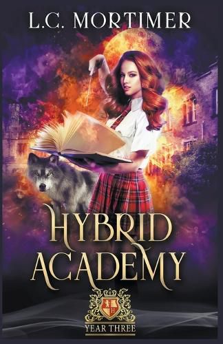 Cover image for Hybrid Academy