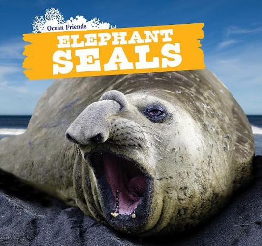 Cover image for Elephant Seals