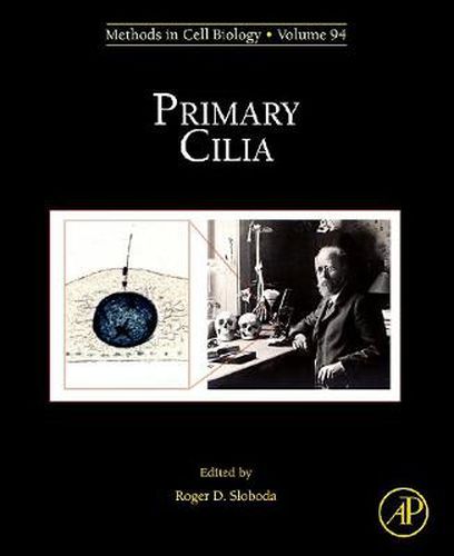 Cover image for Primary Cilia