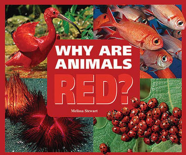 Why are Animals Red?