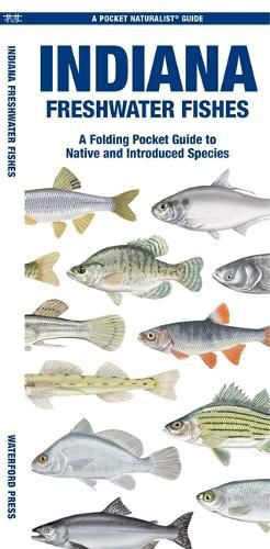 Cover image for Indiana Freshwater Fishes