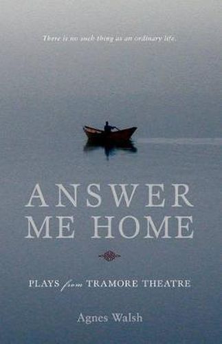 Cover image for Answer Me Home