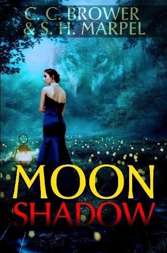 Cover image for Moon Shadow