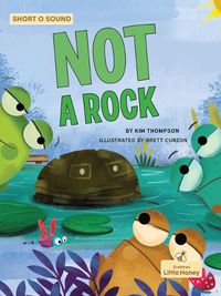 Cover image for Not a Rock