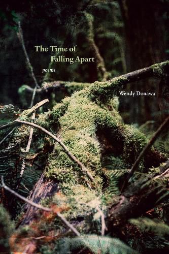 Cover image for The Time of Falling Apart