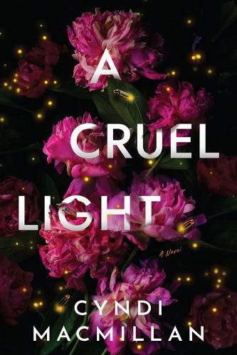 Cover image for A Cruel Light: A Novel