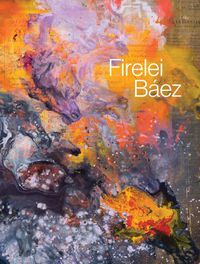 Cover image for Firelei Baez