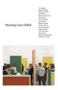 Cover image for Meaning Liam Gillick