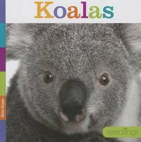 Cover image for Koalas