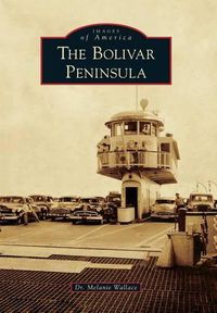 Cover image for The Bolivar Peninsula