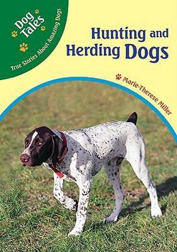 Hunting and Herding Dogs