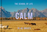Cover image for Calm in 40 Images
