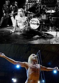 Cover image for Iggy and the Stooges