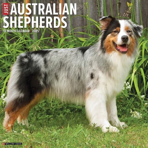Cover image for Australian Shepherds 2026 12 X 12 Wall Calendar
