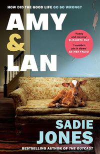 Cover image for Amy and Lan