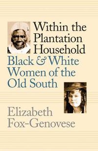 Cover image for Within the Plantation Household: Black and White Women of the Old South