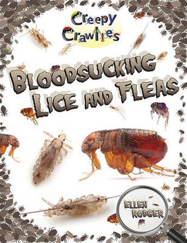 Cover image for Bloodsucking Lice and Fleas