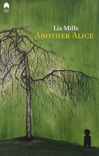 Cover image for Another Alice