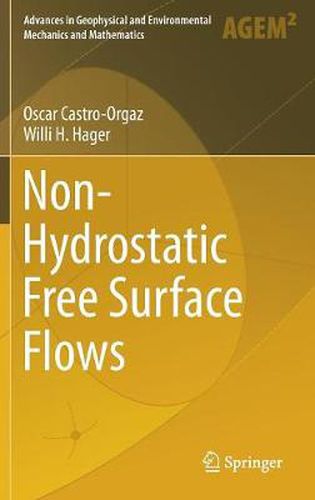 Cover image for Non-Hydrostatic Free Surface Flows