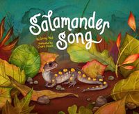 Cover image for Salamander Song