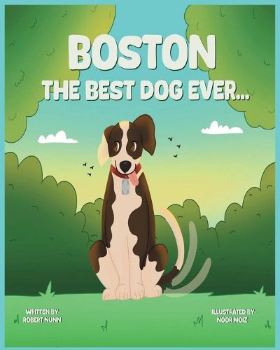 Cover image for Boston