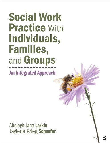 Cover image for Social Work Practice With Individuals, Families, and Groups