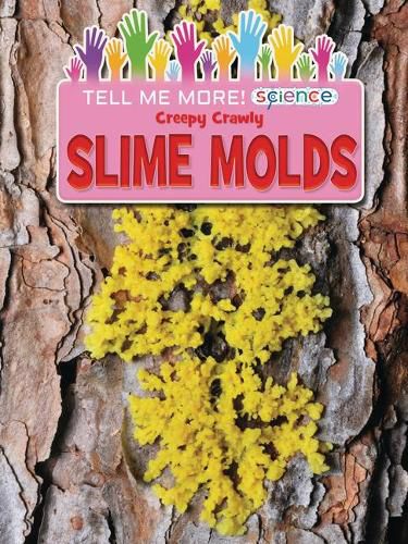 Cover image for Creepy Crawly Slime Molds