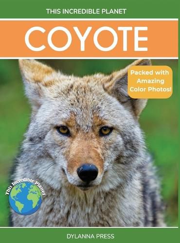 Cover image for Coyote