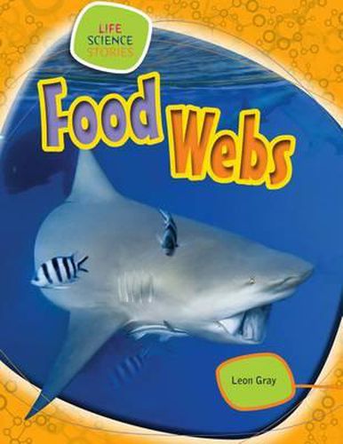 Cover image for Food Webs