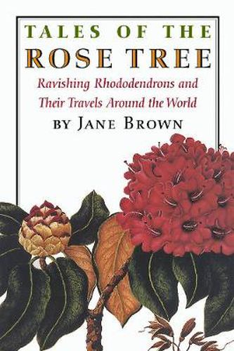 Tales of the Rose Tree: Ravishing Rhododendrons and Their Travels Around the World